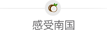 凯发体育比分查询